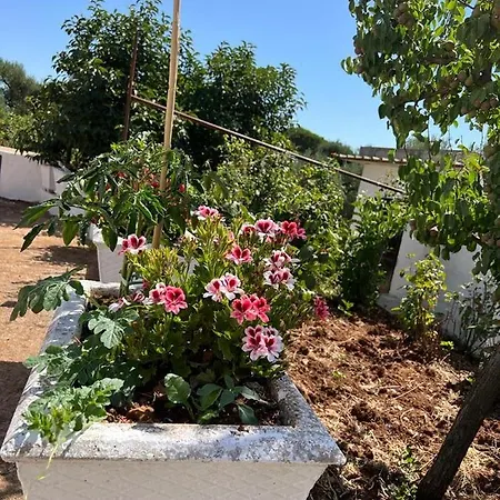 Villa Trullo Antelmi *