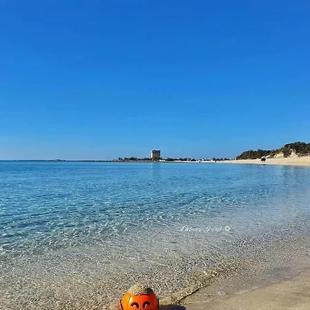 Villa Trullo Antelmi Ceglie Messapica