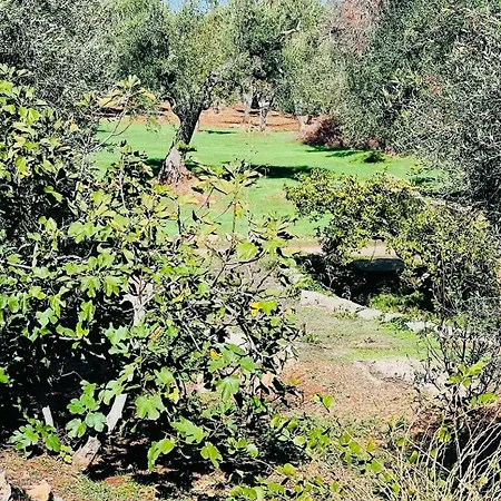 Trullo Antelmi Villa