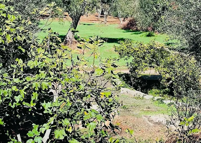 Trullo Antelmi Villa